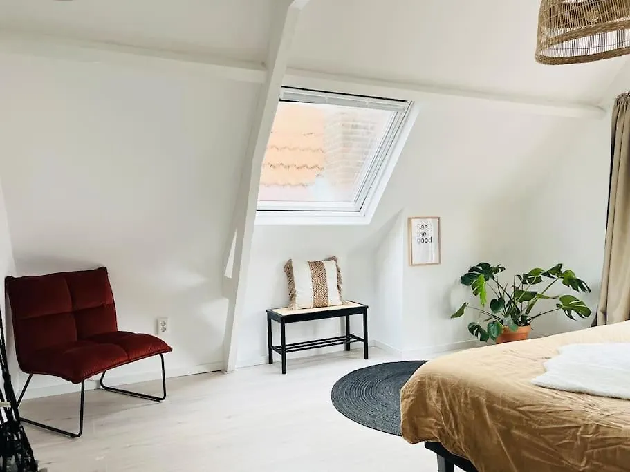 Apartment M Adam III Rotterdam 0*,